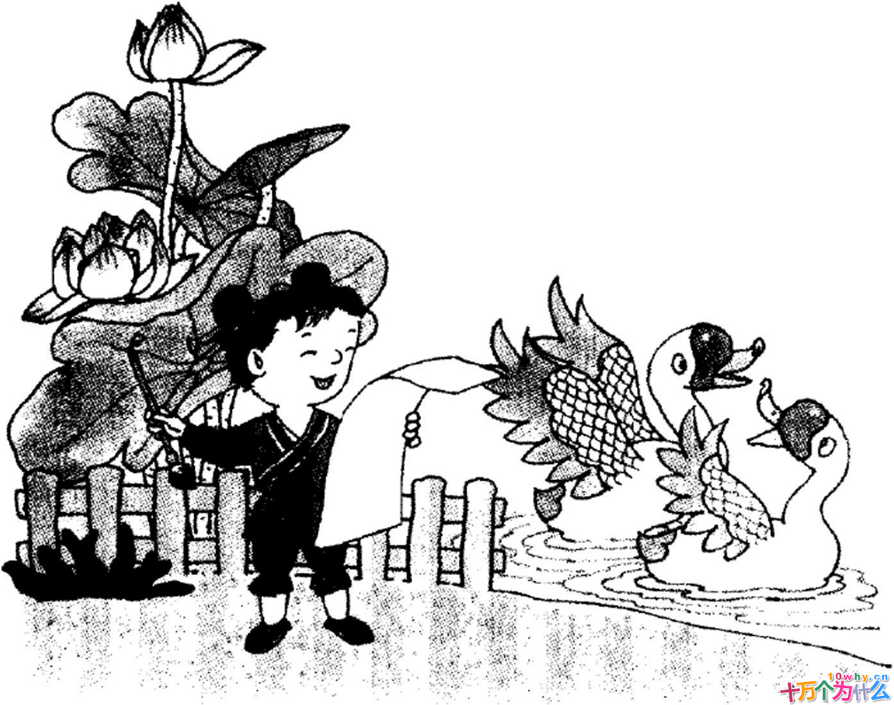 神童和普通儿童究竟有哪些差别图片2 神童和普通儿童究竟有哪些差别图片2