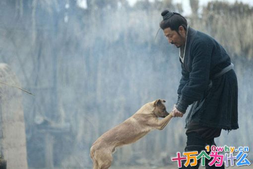 刘邦本是个小混混,他是怎么当上泗水亭长的?