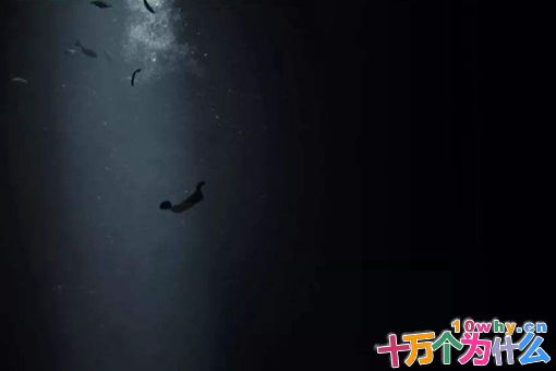 呼兰大侠是真的吗 揭秘呼兰大侠真实身份 呼兰大侠是真的吗 揭秘呼兰大侠真实身份