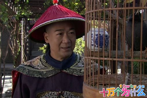 揭秘纪晓岚怎么死的,看看纪晓岚是不是真的纵欲而死的 揭秘纪晓岚怎么死的,看看纪晓岚是不是真的纵欲而死的