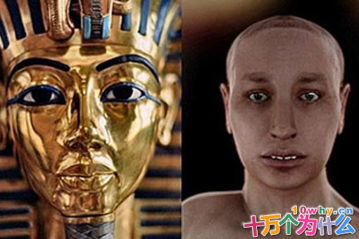 古埃及最美王后纳费提提长什么样子?揭秘纳费提提的真实复原图 古埃及最美王后纳费提提长什么样子?揭秘纳费提提的真实复原图