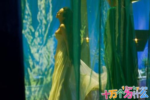 杨贵妃为什么没孩子?杨贵妃没有生育能力吗?