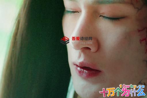 无心法师3白琉璃和无心有什么恩怨?白琉璃怎么死的?