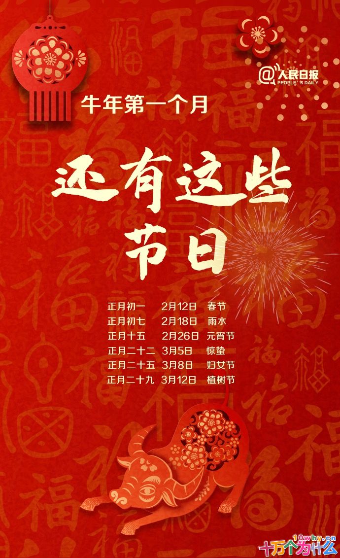 牛年只有354天!关于牛年,还有哪些知识点?