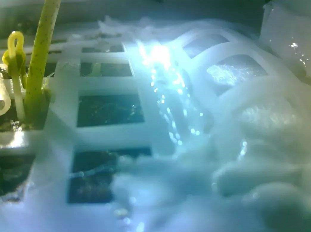 月壤到底能不能种菜？