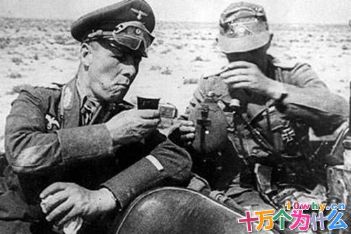 隆美尔被逼自杀后,他的遗孀和子女后来的人生是怎样的?