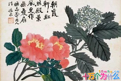 赵之谦是什么朝代的书法家?赵之谦生平简介