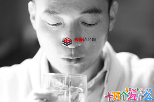 孤城闭晏殊是谁?晏殊人物介绍