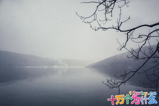 柳宗元与刘禹锡的关系有多好?柳宗元与刘禹锡是怎样的关系?