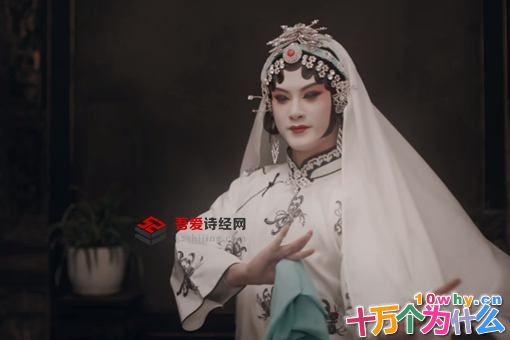 鬓边不是海棠红陈韧香结局是什么 陈韧香资料介绍