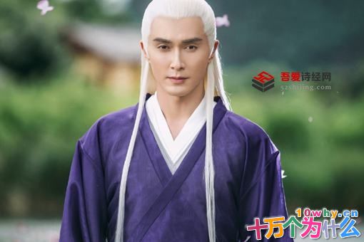 东华帝君结局羽化什么意思?东华将帝君之位传给叶青缇