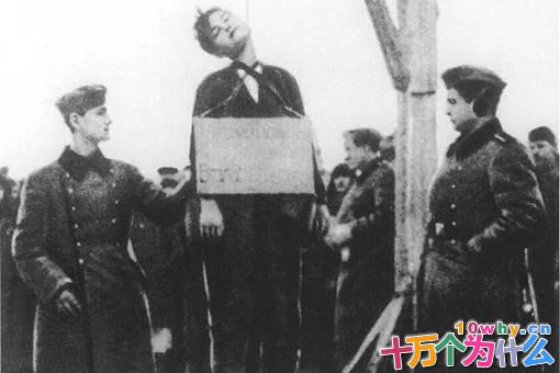 苏联女英雄卓娅是怎么死的?揭秘卓娅遇害详细过程