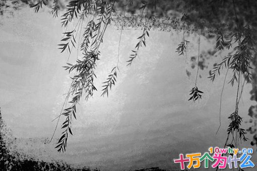 索德格朗简介 索德格朗是个什么样的人