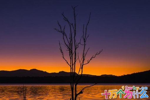 柳宗元与刘禹锡的关系有多好?柳宗元与刘禹锡是怎样的关系?