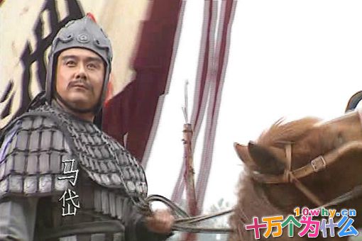 马超从弟马岱,斩杀叛将魏延,官至平北将军! 马超从弟马岱,斩杀叛将魏延,官至平北将军!