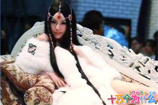 成吉思汗到底是怎么死的?成吉思汗真的是被西夏人给杀害的吗? 成吉思汗到底是怎么死的?成吉思汗真的是被西夏人给杀害的吗?