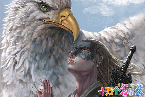 杨过是射雕三部曲中最弱的男主角么?其实杨过堪称金庸武侠里的全能王