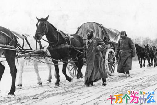 征服半个欧洲的古德里安为何只是个大将?古德里安为何没有成为元帅?