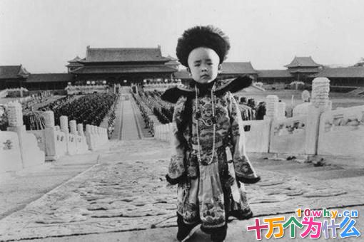 王毓斌是溥仪的儿子吗?有王毓斌DNA鉴定结果吗?