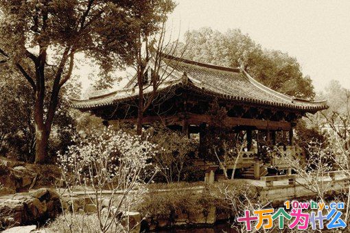 唐婉最后为什么郁郁而终 唐婉拥有怎样的爱情观