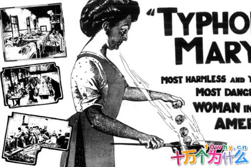 超级传播者伤寒玛丽是谁?伤寒玛丽为什么被称为是超级传播者?