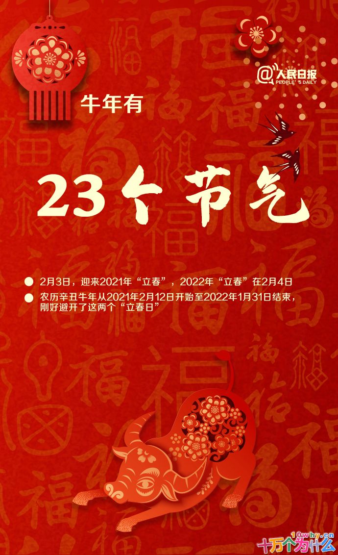 牛年只有354天!关于牛年,还有哪些知识点?