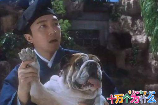 唐伯虎真有那么风流吗?历史上唐伯虎的一生是怎样的?