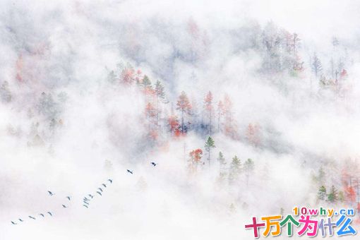 许穆夫人的人物形象分析 许穆夫人最有名的诗载驰原文及解析