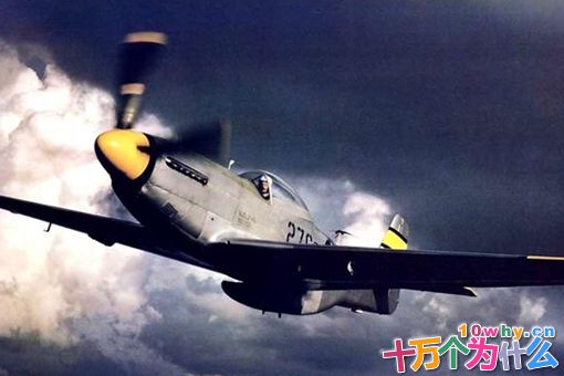 美国一些高级军官为何会反感艾森豪威尔?艾森豪威尔到底做了什么让人反感?