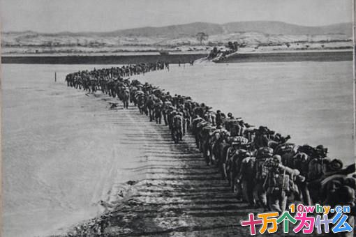 五星上将麦克阿瑟是怎么一步一步把自己给作死了?