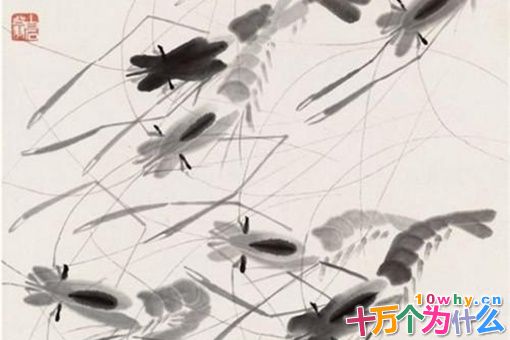 齐白石简介 揭秘齐白石是一个什么样的人