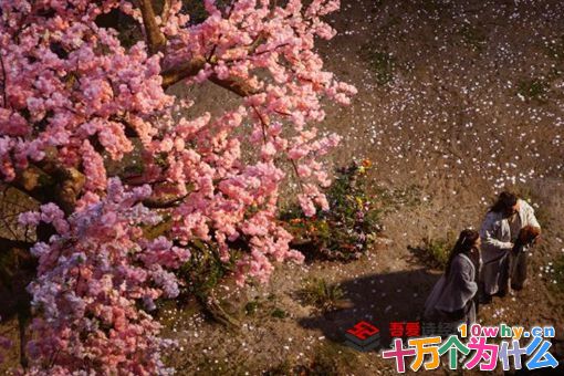 三千鸦杀傅九云身份是什么?傅九云结局揭秘