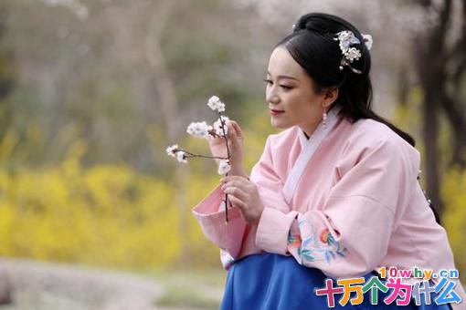 嬴政和芈月什么关系?