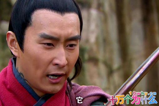 杨再兴是杨家将的后代吗?杨再兴是谁的后代?