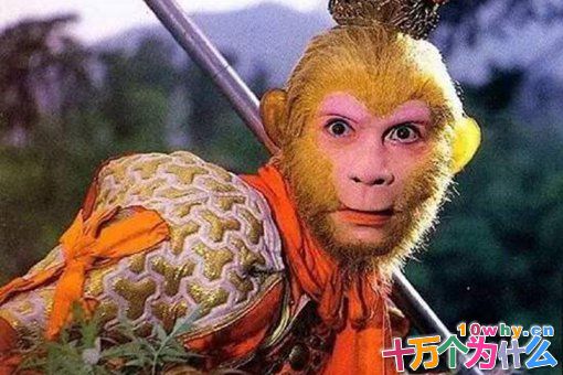 六耳猕猴到底是谁?为什么他不怕佛祖?