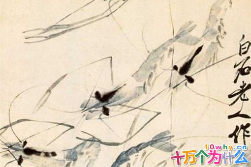 齐白石简介 揭秘齐白石是一个什么样的人