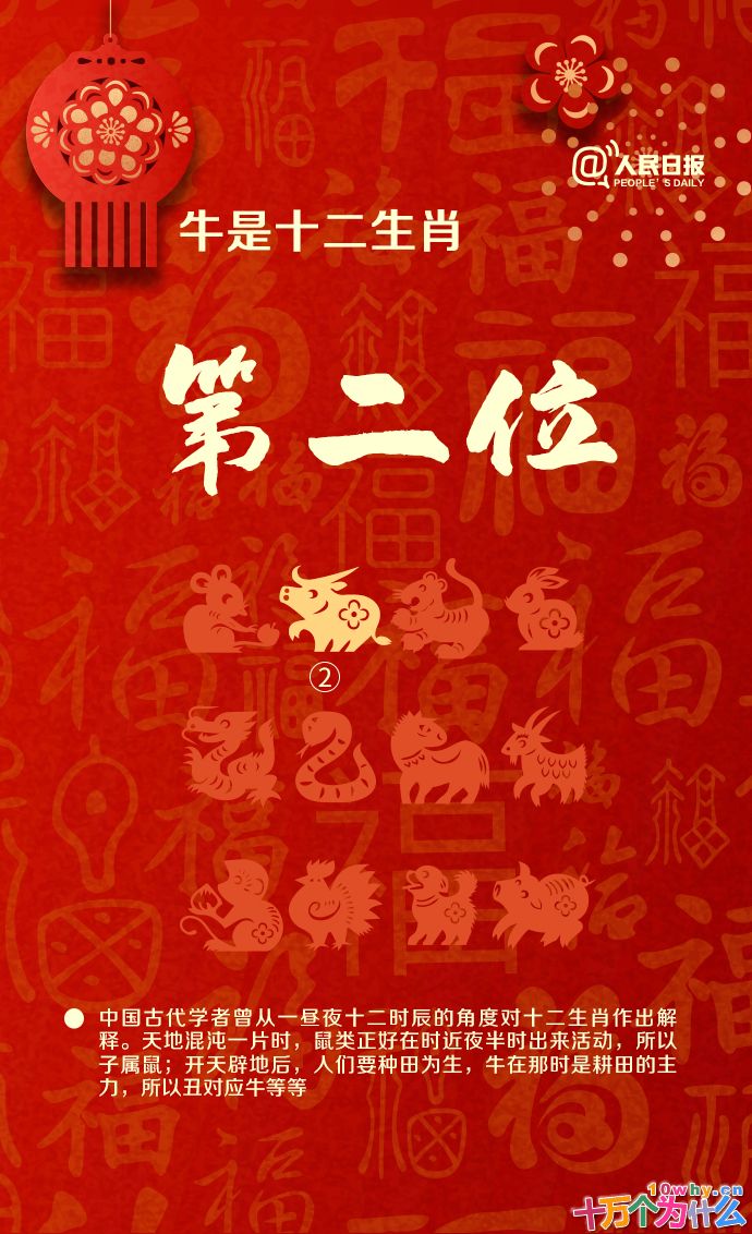 牛年只有354天!关于牛年,还有哪些知识点?