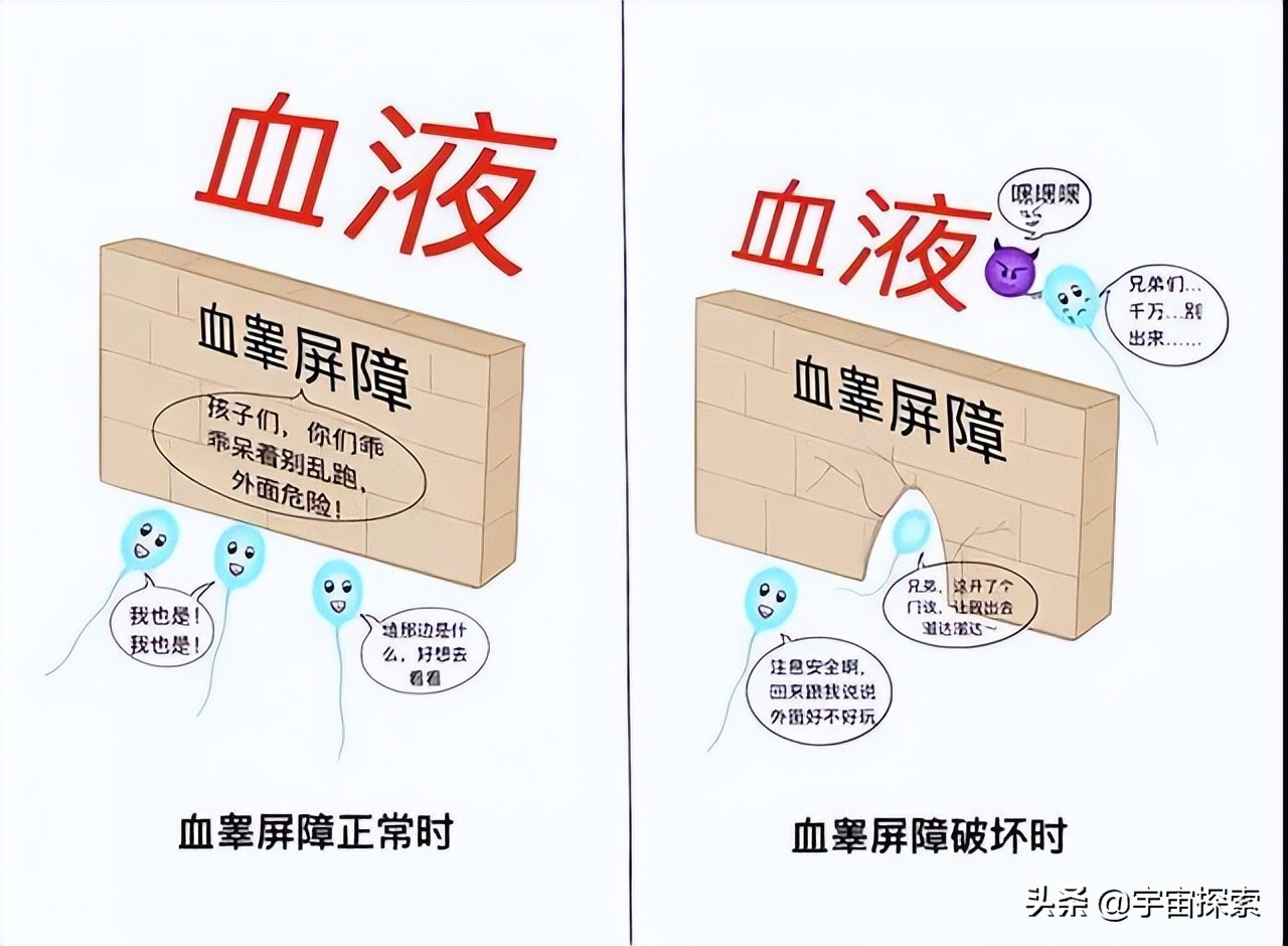 一张化验单就知道女人交过几任男友？来看看是不是真的