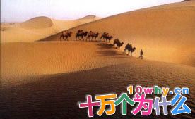 为何从我国到古罗马的路称作丝绸之路图片1