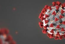 为什么冠状病毒有这么大的威力?